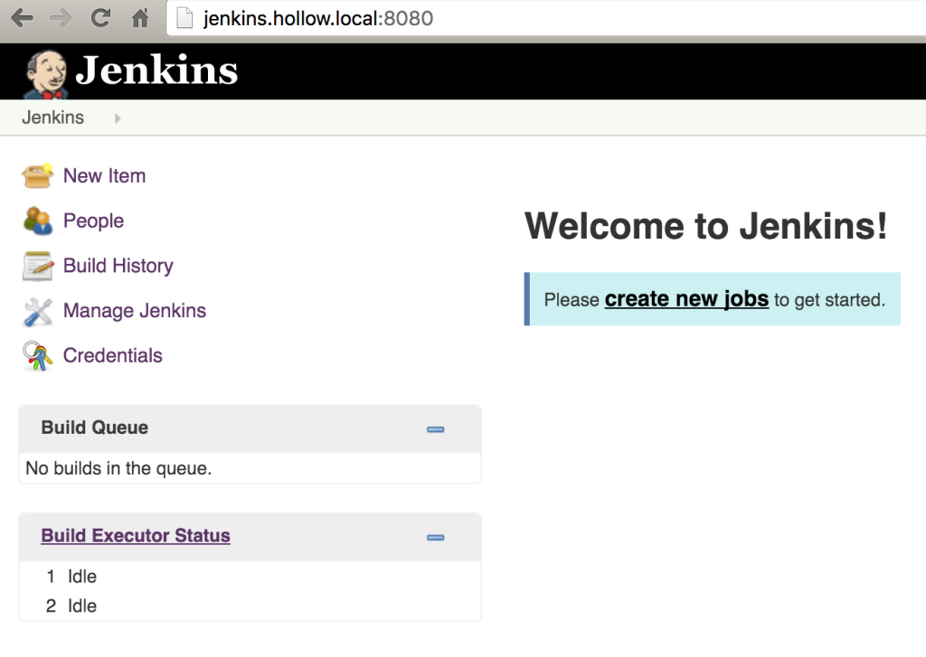 Jenkins-Install2